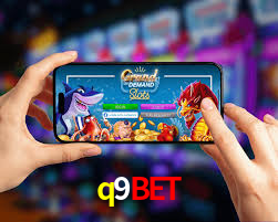 VIP Casino q9bet