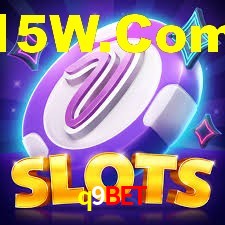 Premium Interface q9bet